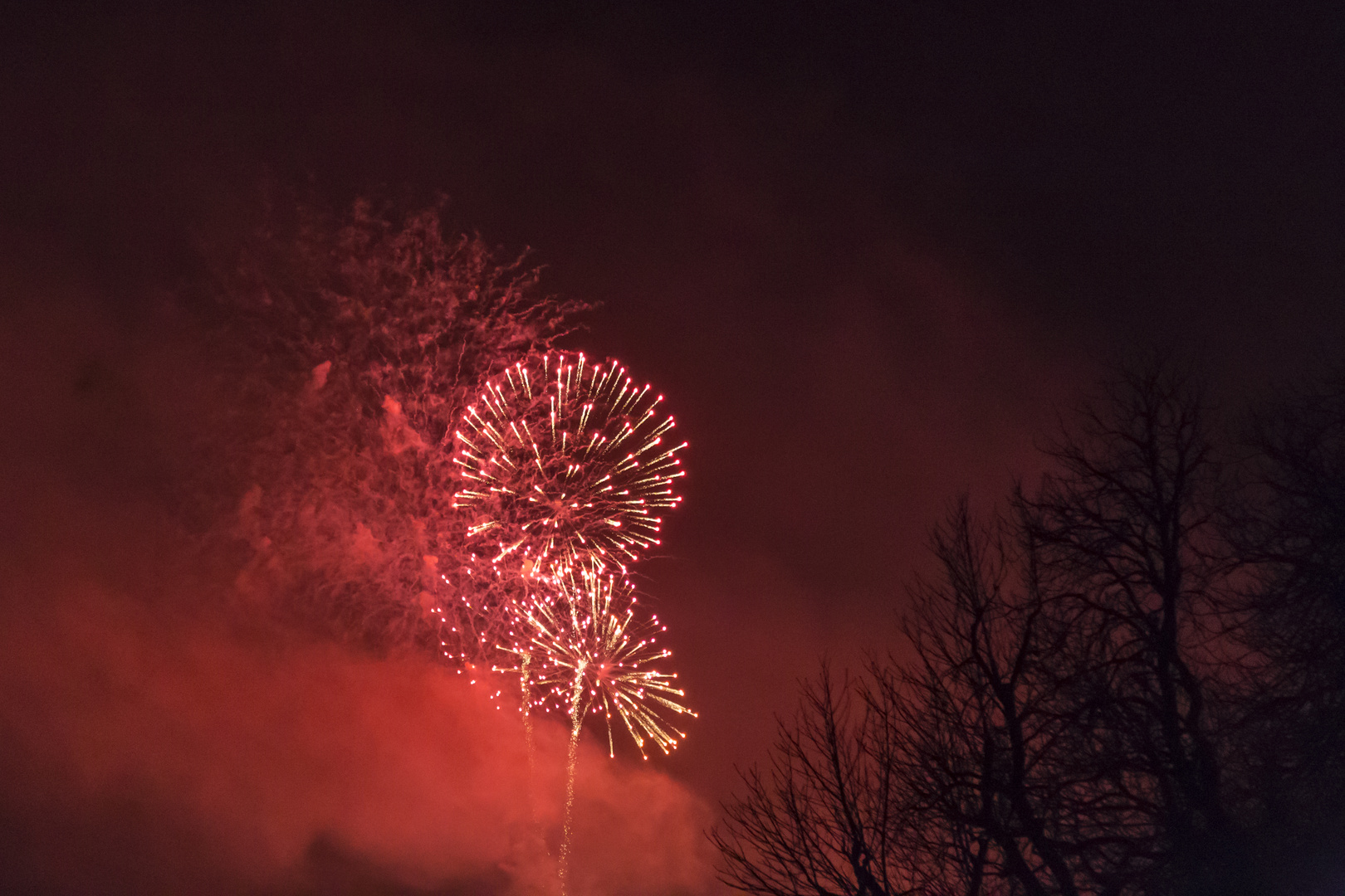 red fire flower in the sky