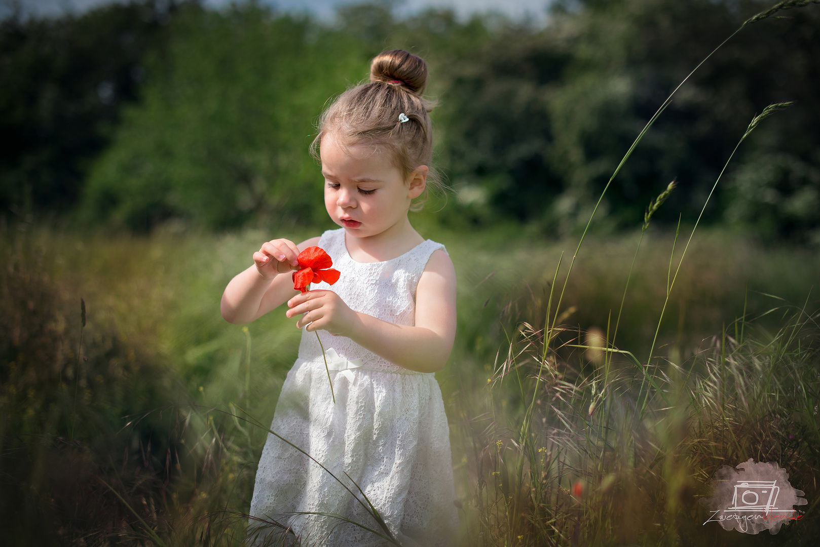 Red Flower