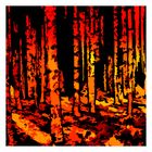 " Red Forest "