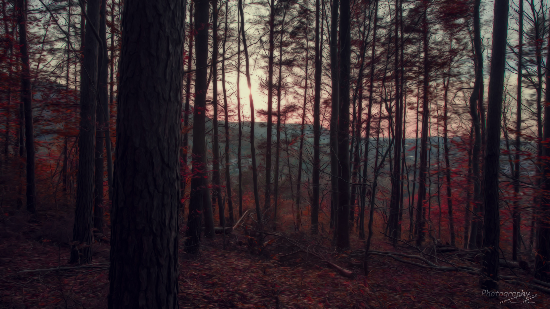 red forest