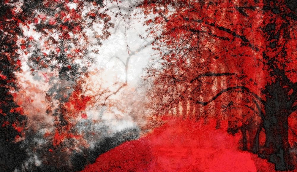 red forest III