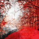 red forest III