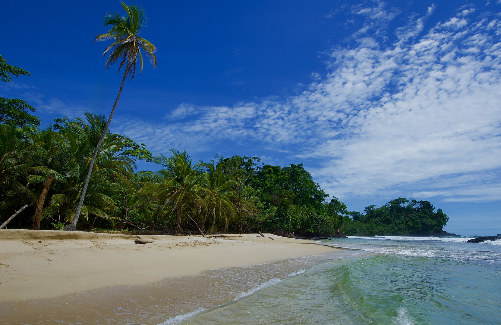 Red Frog Beach in Panama