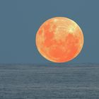 Red Fullmoon 