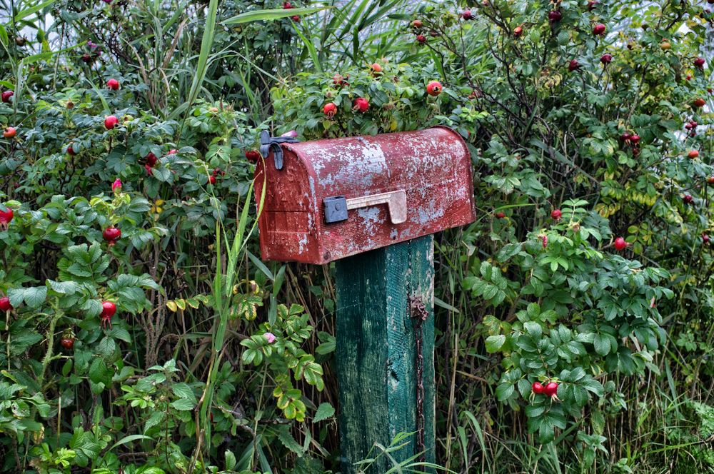 red : green