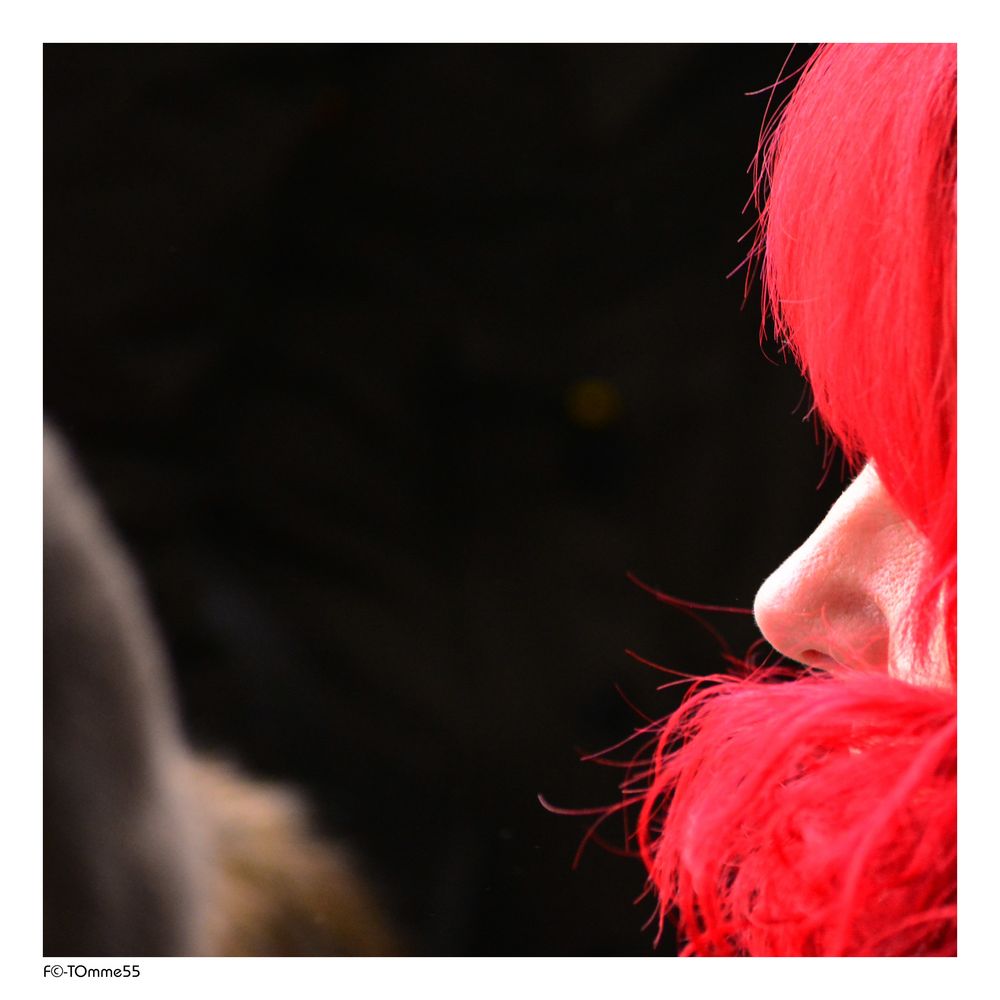 Red Hair III