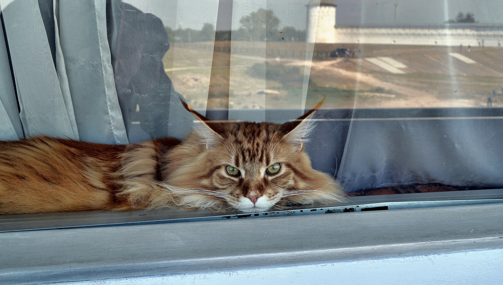 Red-haired fellow traveler