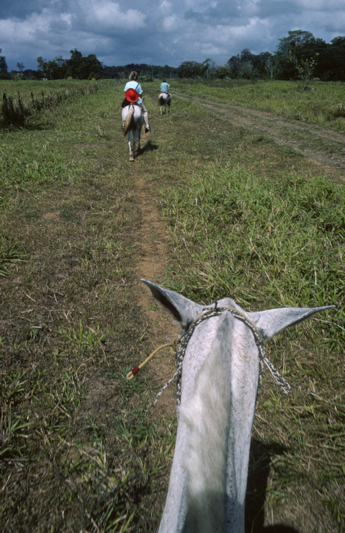 Red Hat and Horses before Rain...