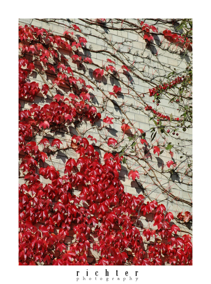 |RED| - herbst o5