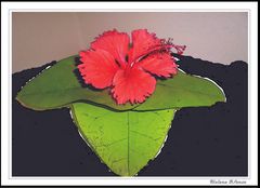 RED HIBISCUS