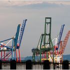 Red Hook Gantries, Summer Afternoon