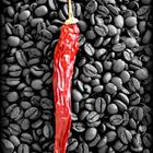 " RED HOT CHILI "