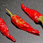 red hot chili