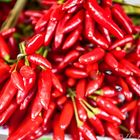 Red- Hot- Chili-