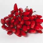 Red Hot Chilli pepper