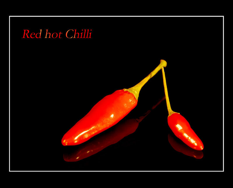 Red hot Chillis