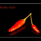 Red hot Chillis