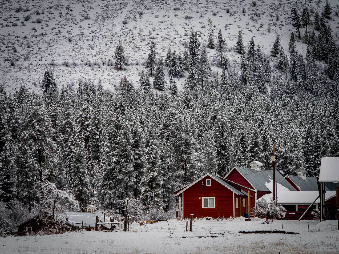 Red House