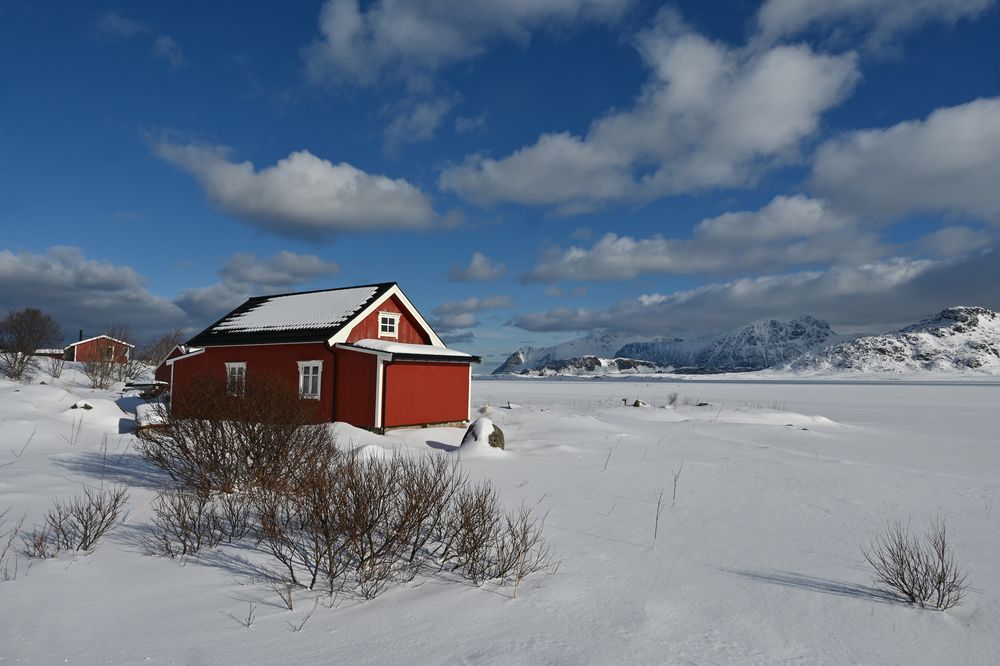 Red House