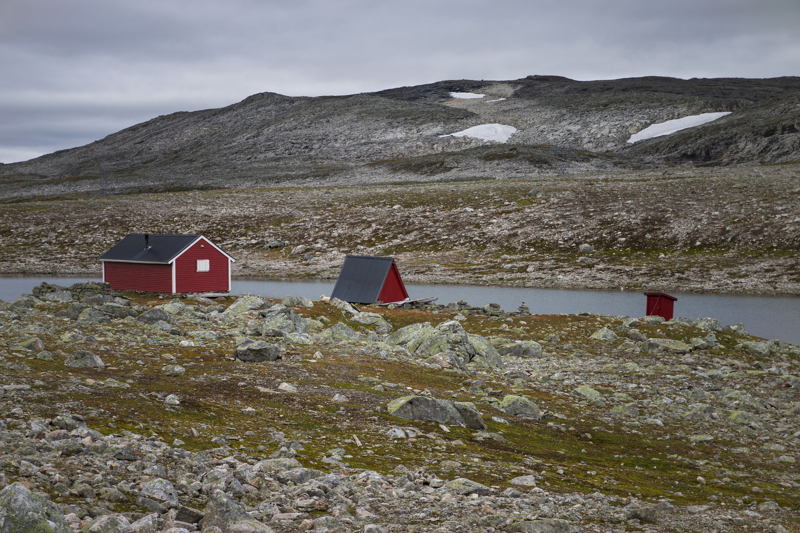 Red houses