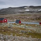 Red houses