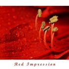 Red Impression