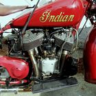 Red Indian