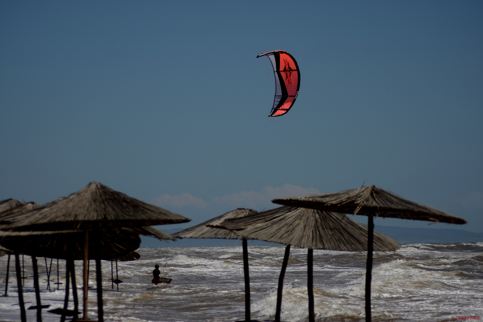 Red kite over surfers paradise...