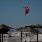 Red kite over surfers paradise...