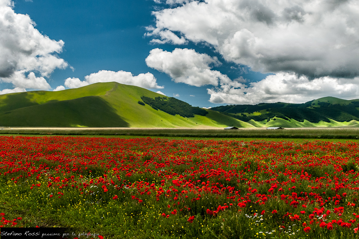 RED LAKE