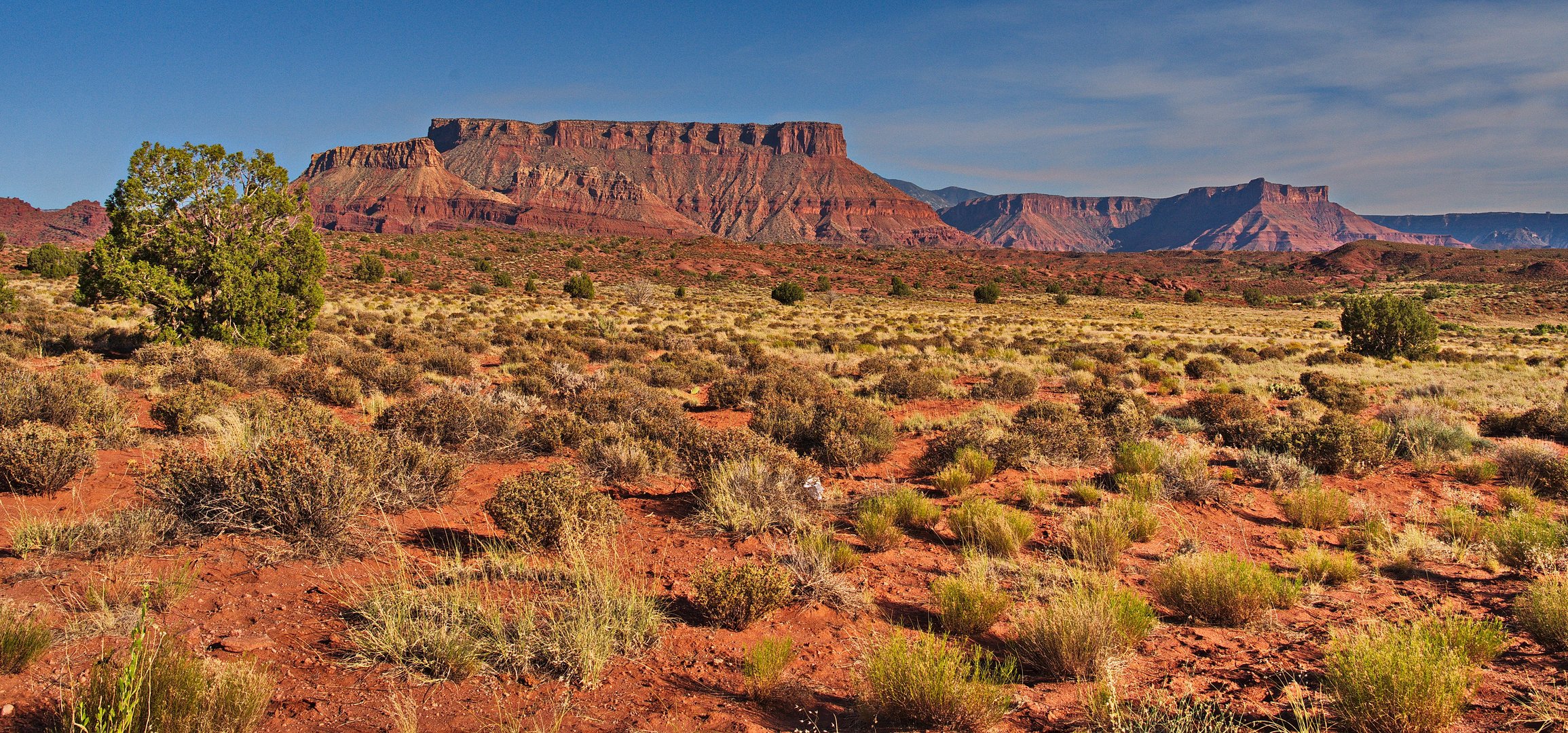 red landscape