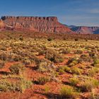 red landscape