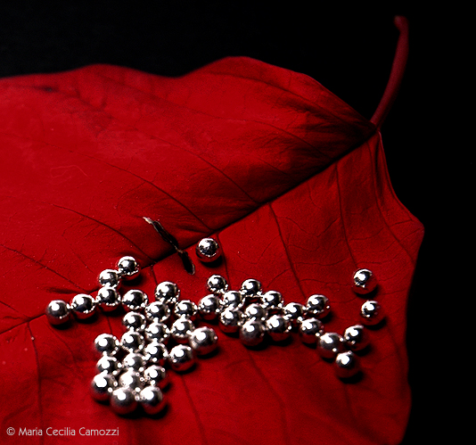 Red leaf with silver spheres