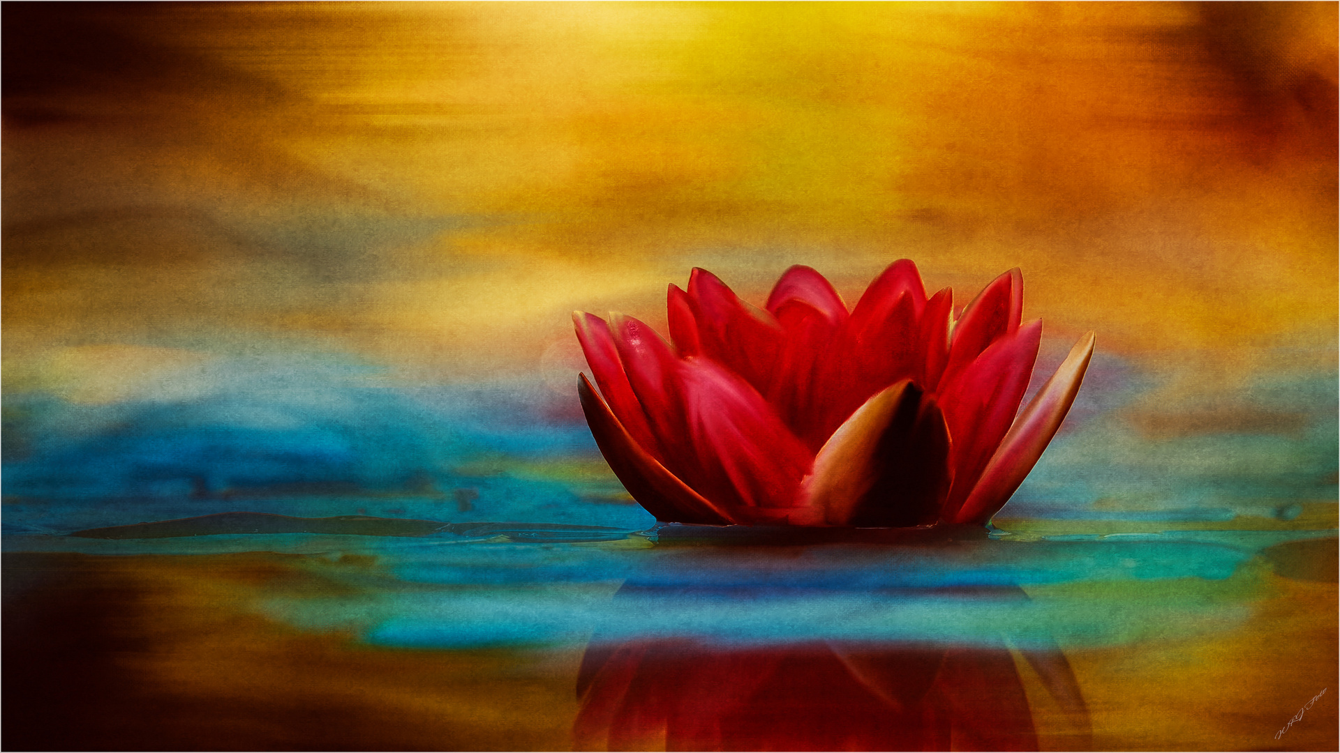 Red Lotus Flower