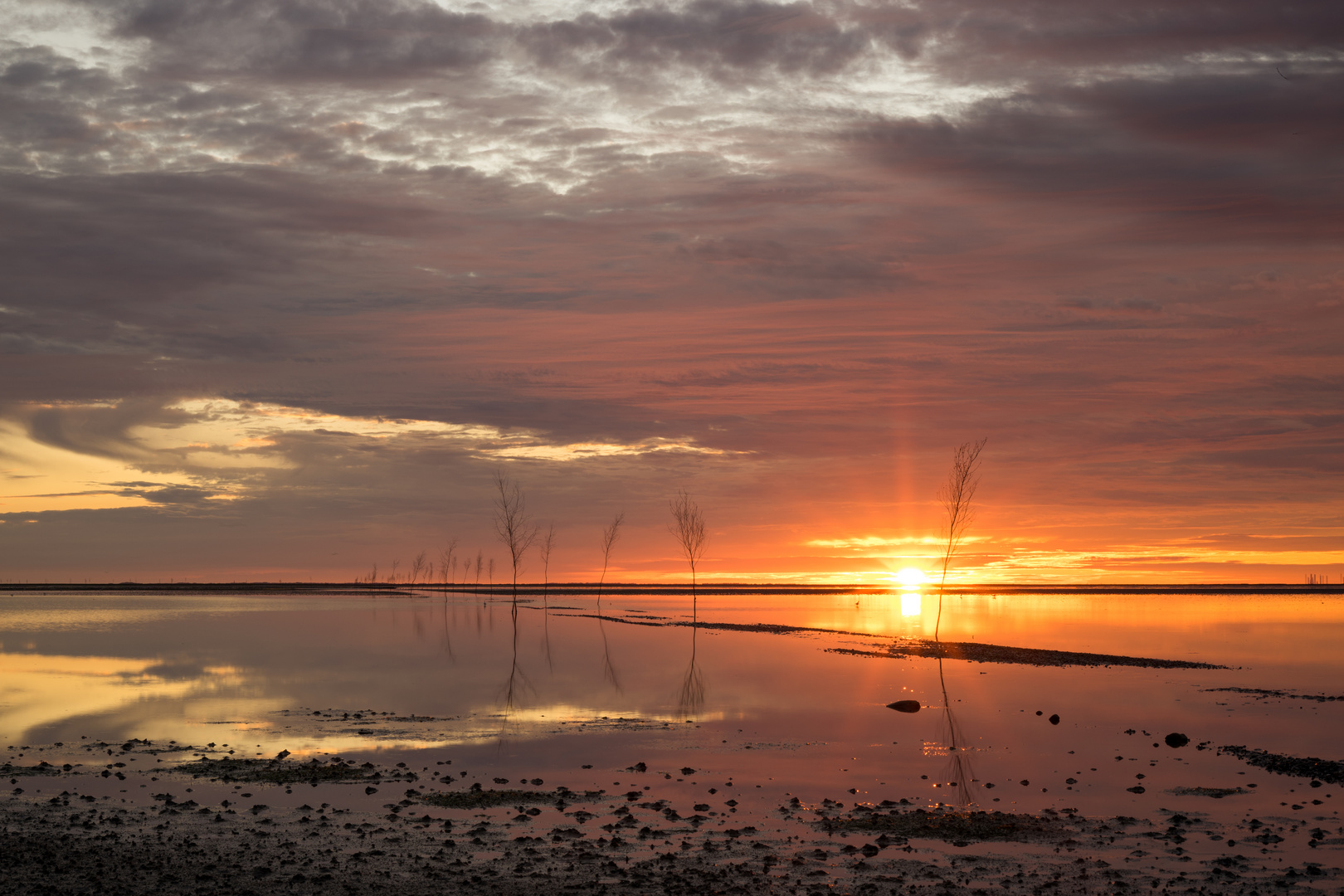 red low tide