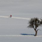 Red Man Walking