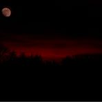 Red Moon