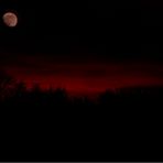 Red Moon