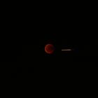 Red Moon 1