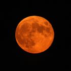 Red Moon