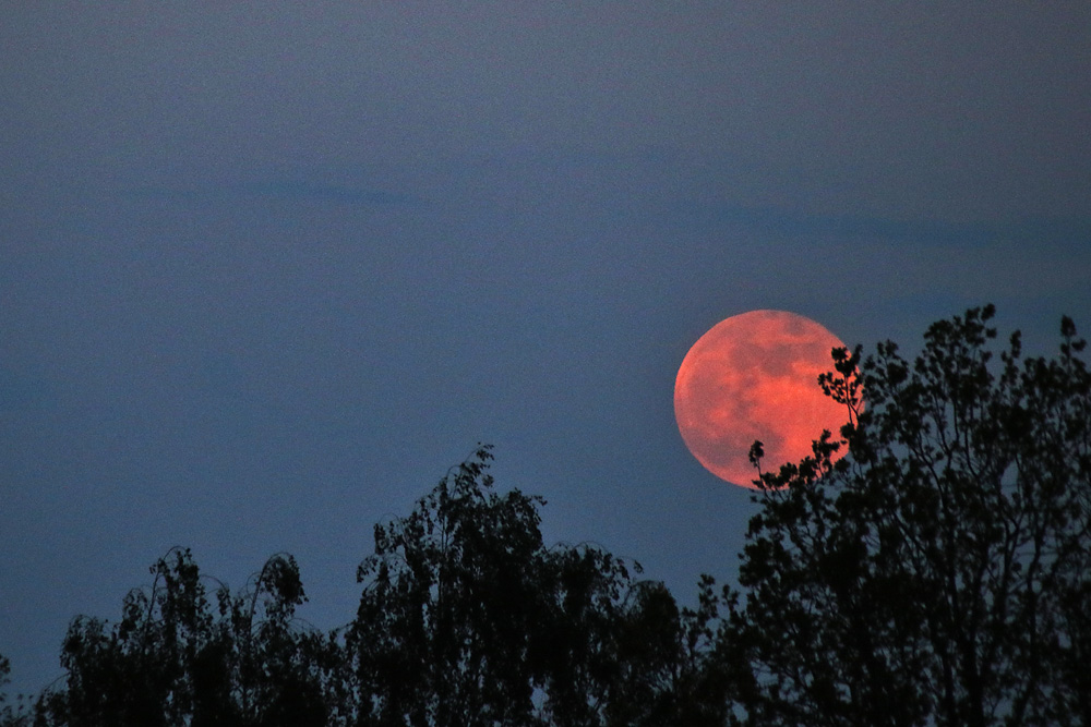 red moon