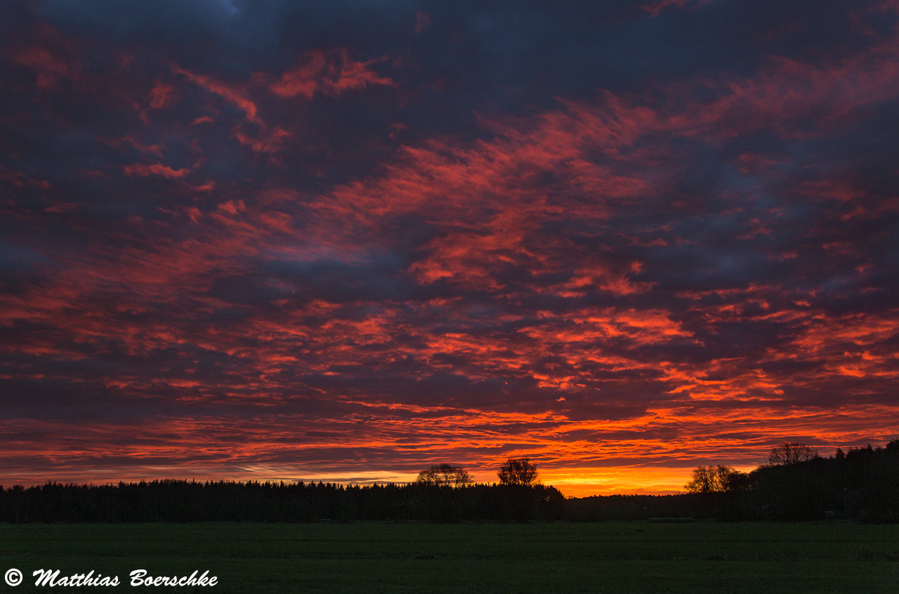 Red Morning