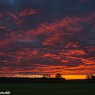 Red Morning