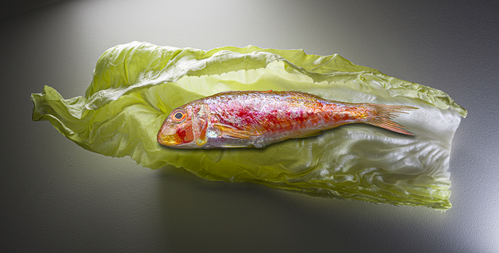 Red mullet on salad leaf