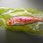 Red mullet on salad leaf