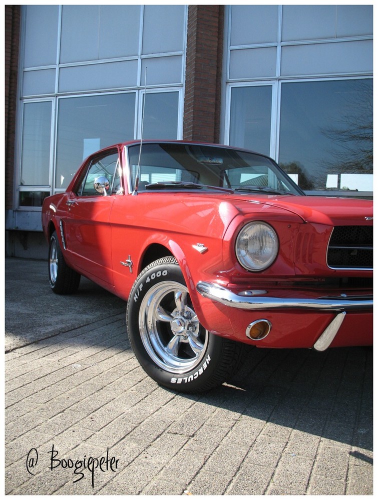 Red Mustang in Aarschot