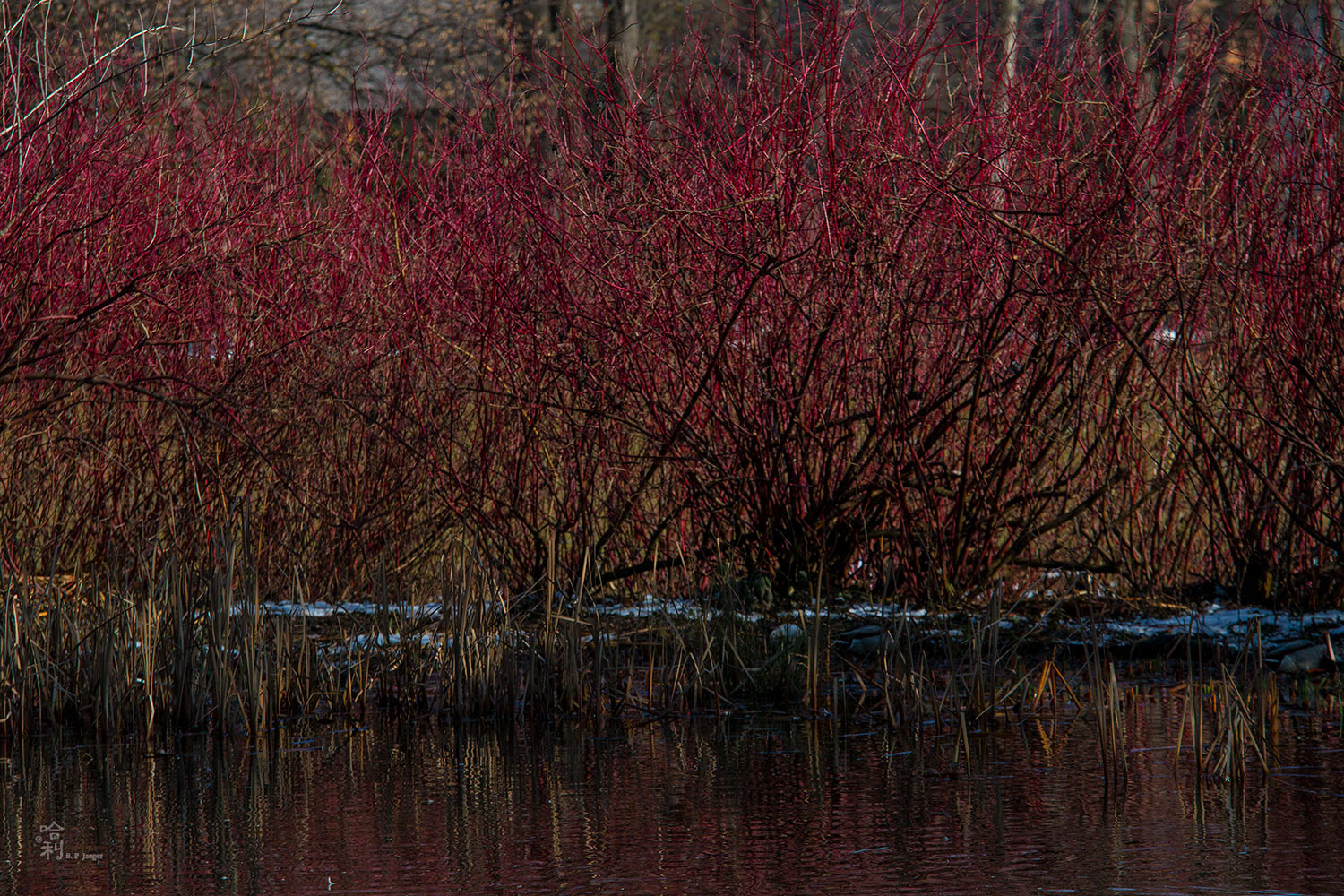 red natural colors