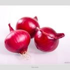 Red onion