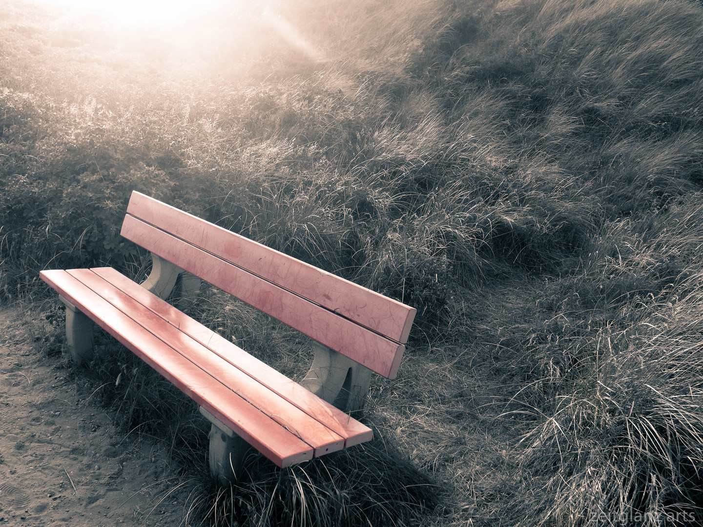 red park bench in sepia enviroment