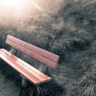 red park bench in sepia enviroment